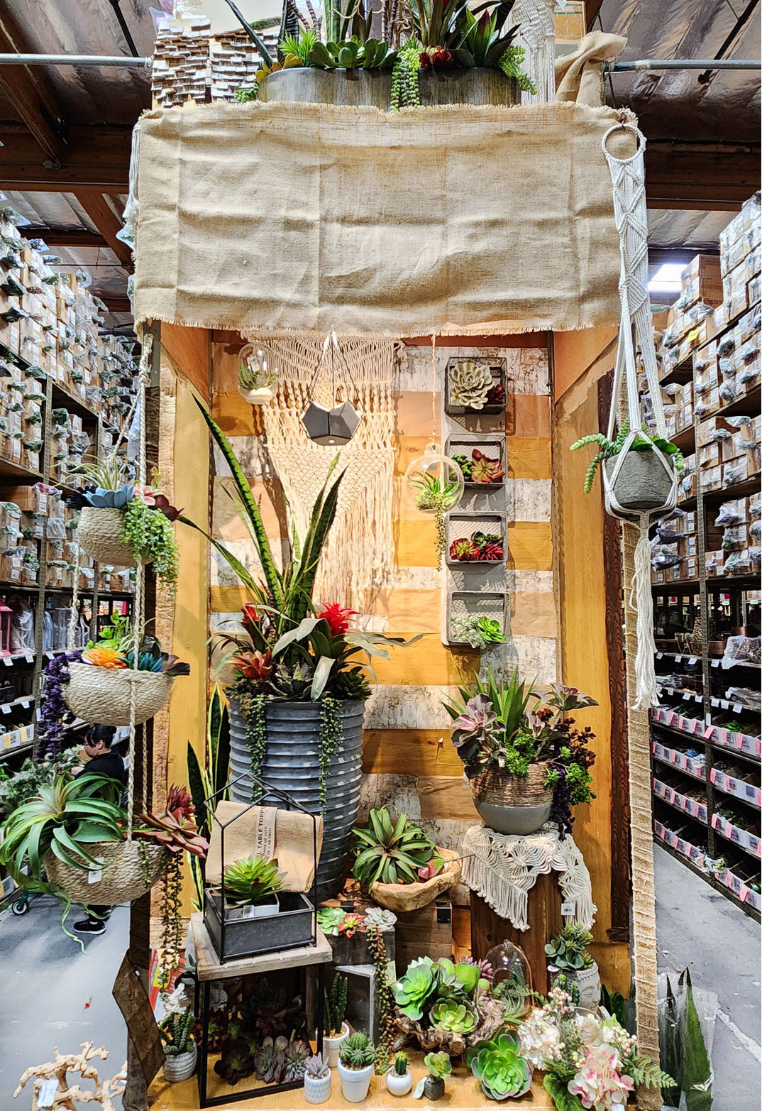 Boho Succulent Oasis