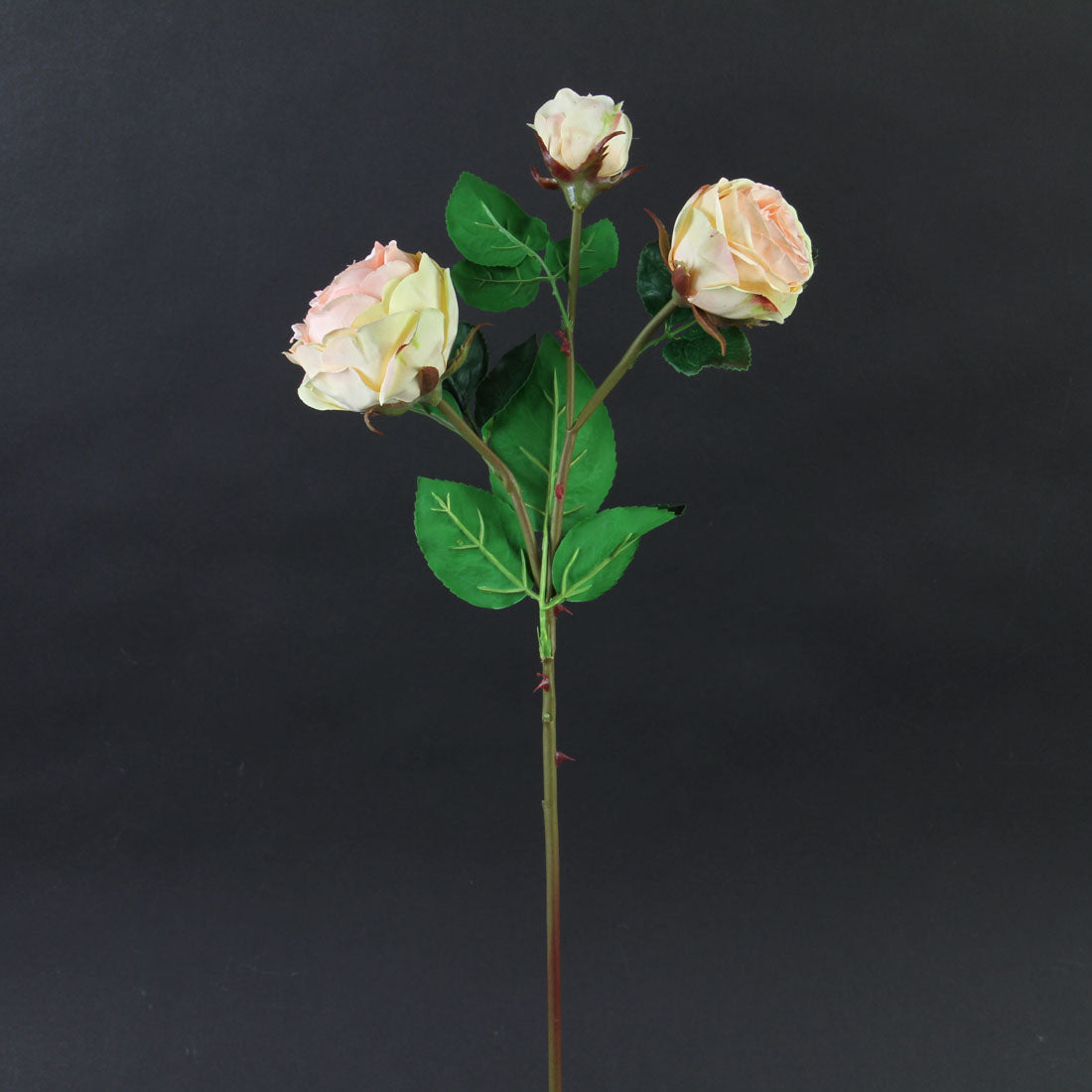21"CABBAGE ROSE SPRAY