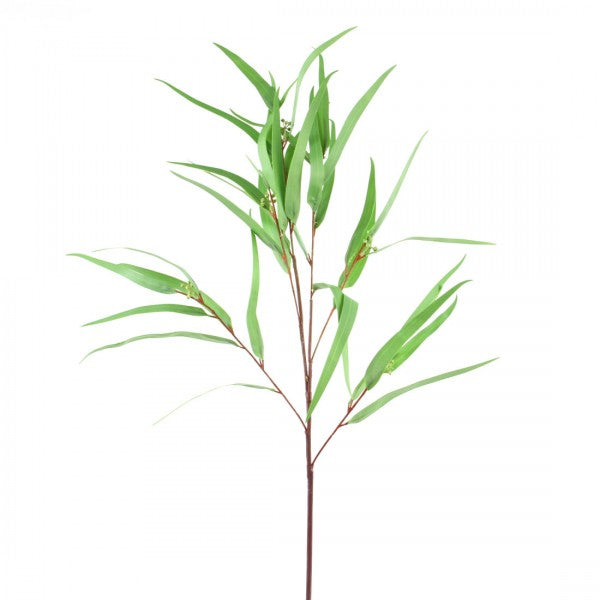 36"FEATHER LEAF EUC.W/SEEDS