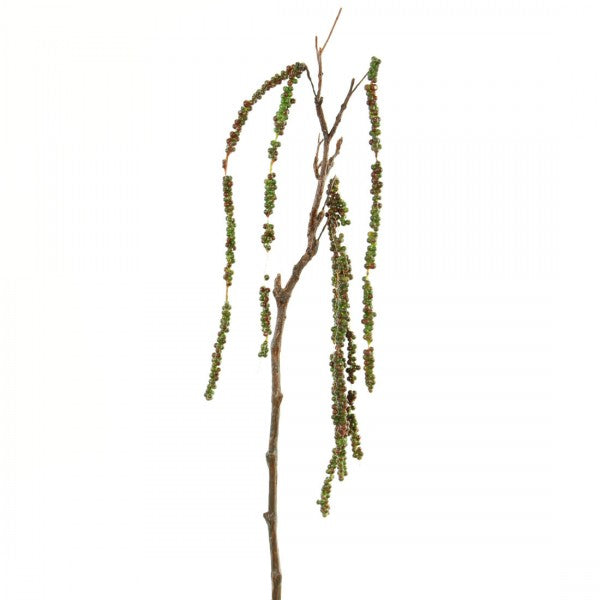 31"AMARANTHUS SPRAY GRN A25