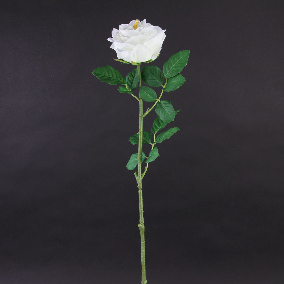 29"ENGLISH GARDEN ROSE