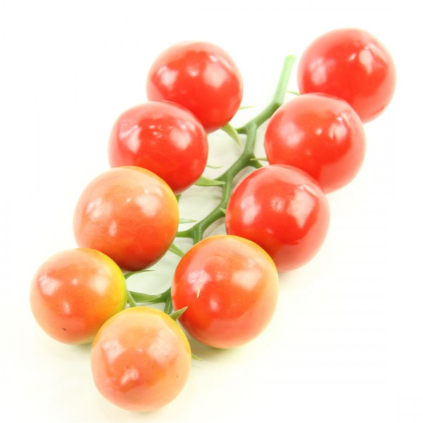 TOMATO ON VINE A25