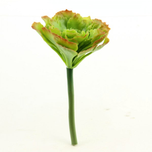6.5"SUCCULENT PICK A25