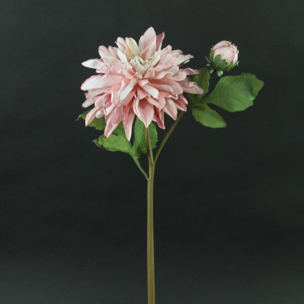 21"DRIED DAHLIA STEM MAUVE