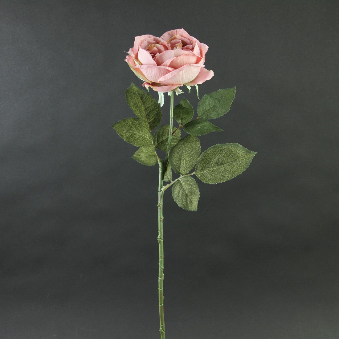27.5"ENGLISH ROSE MAUVE
