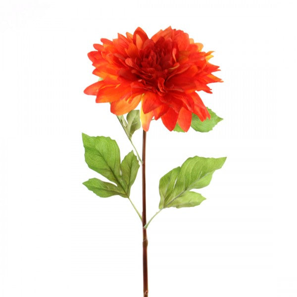25.5"DINNER PLATE DAHLIA SPRY