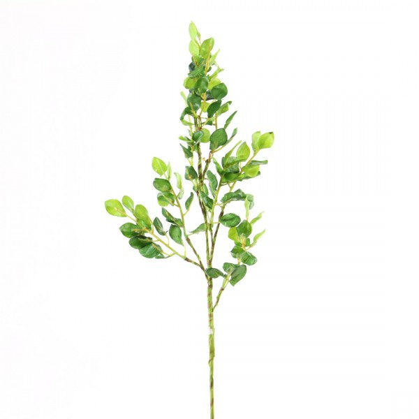22"BUTTON LEAF SPRAY GRN