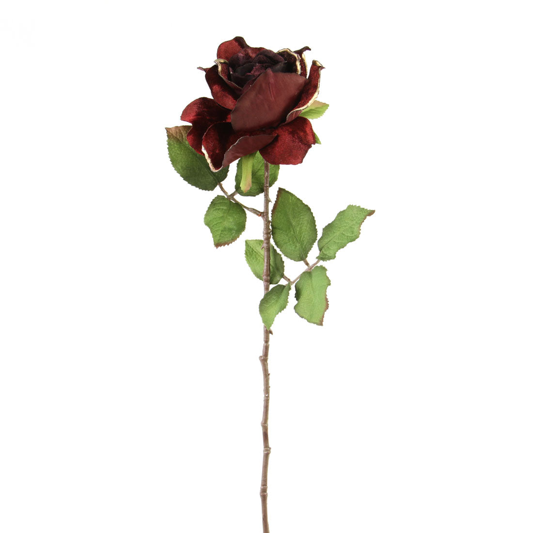 VELVET ROSE BURGUNDY