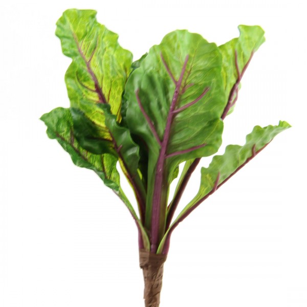 9"KALE PLANT GRN/PURPLE A25