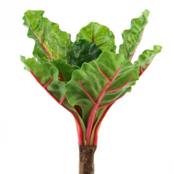 9"KALE PLANT GRN/RED A25