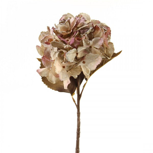 18 INCH DRIED GARDEN HYDRANGEA