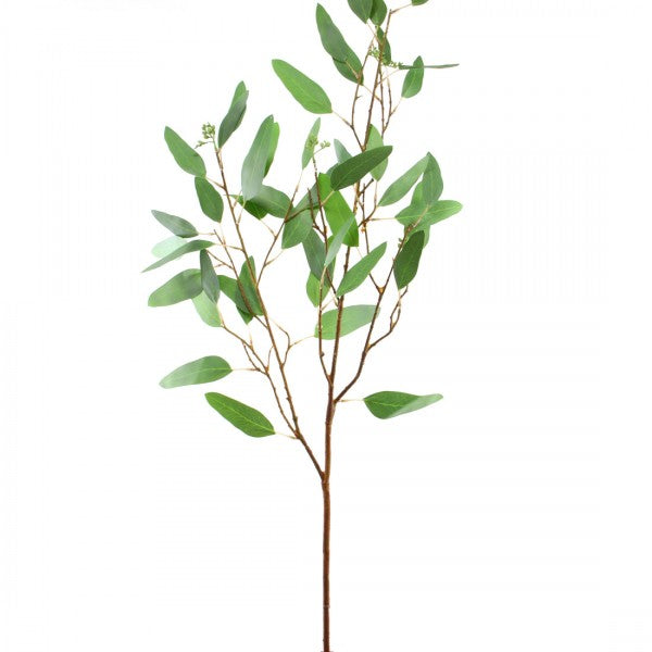 43"SEEDED LNG.EUCALYPTUS STEM