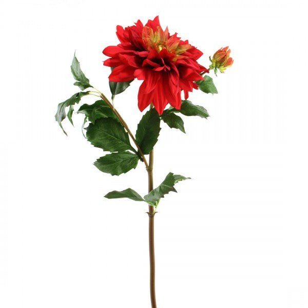 32"DAHLIA RED/GREEN A4
