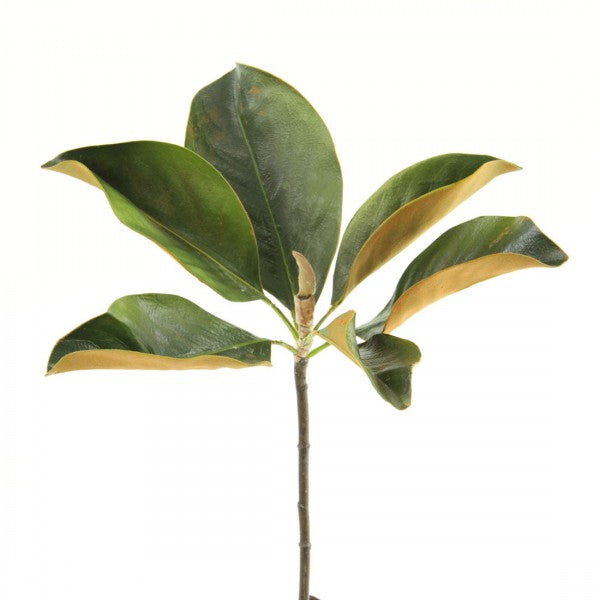14" MAGNOLIA LEAF PICK GREEN
