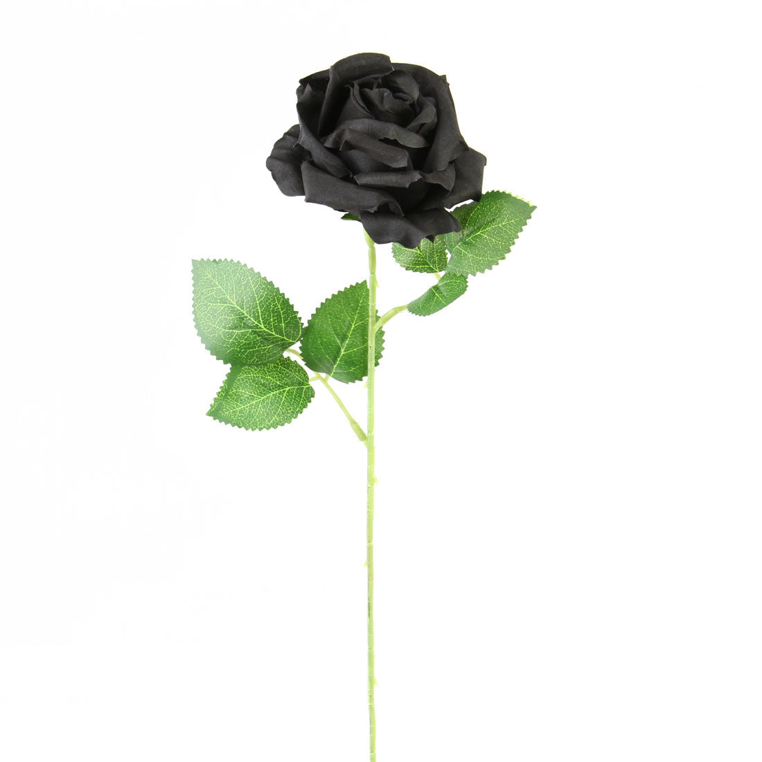 20"SINGLE OPEN ROSE BLACK