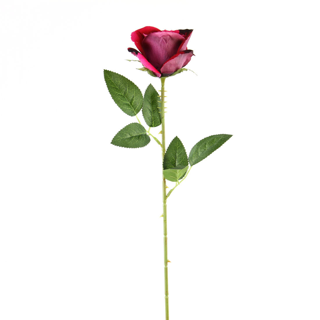 20"VLVT OPEN ROSE STEM