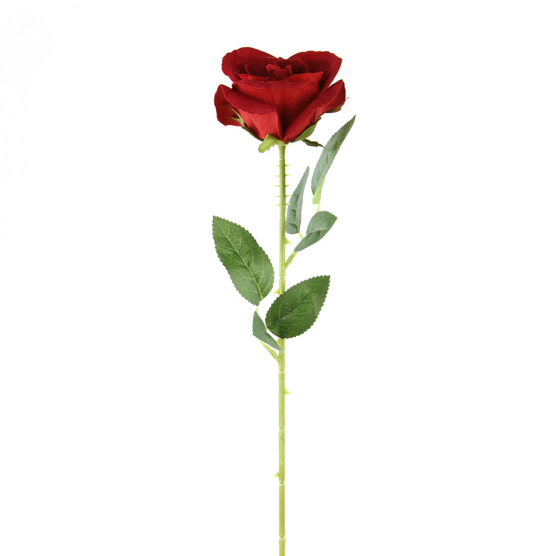20"VLVT.OPEN ROSE STEM RED