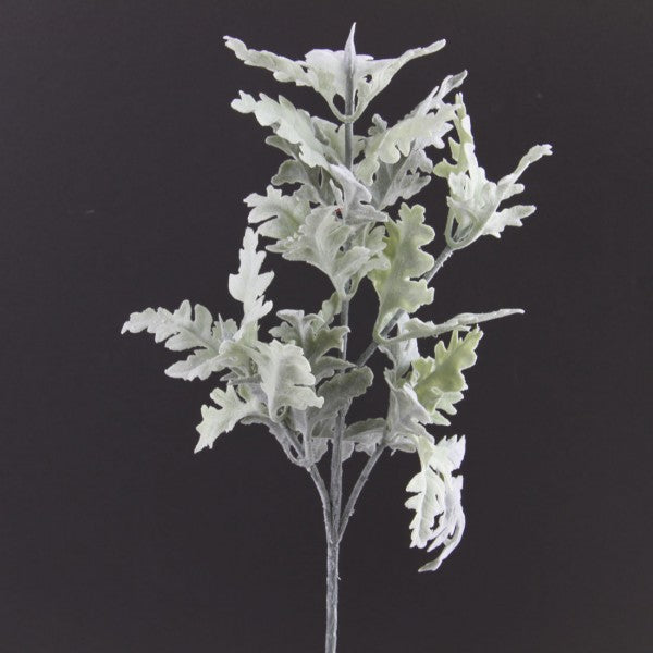 16"PLSTC DUSTY MILLER SPRAY