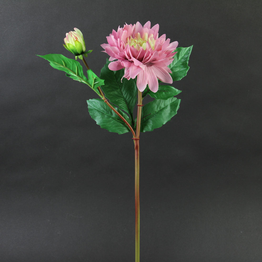 21"DAHLIA W/BUD