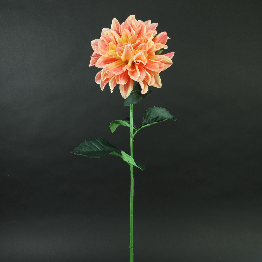 27"DAHLIA STEM