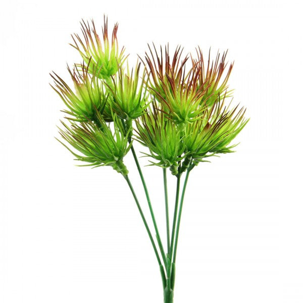 11"TILLANDSIA SUCCULENT BUSH
