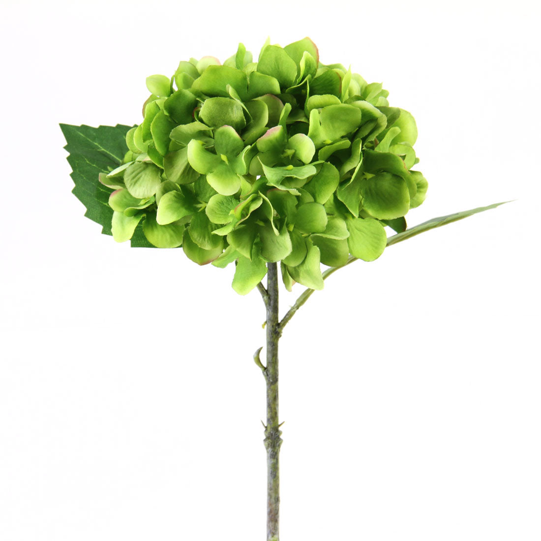 13" HYDRANGEA PICK GREEN