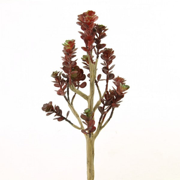 12.5" SUCCULENT BURGUNDY
