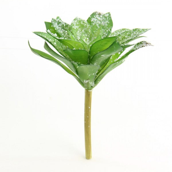 7"SNGL SUCCULENT W/ICE GRN A4