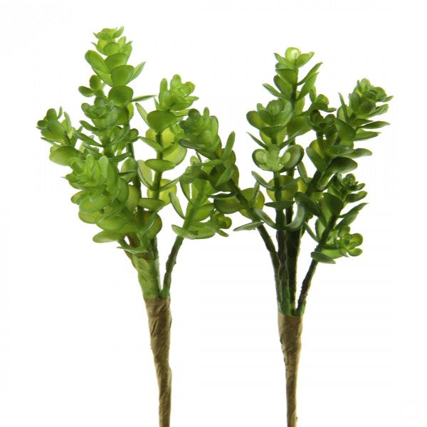 5"SUCCULENT PICK 2/BG