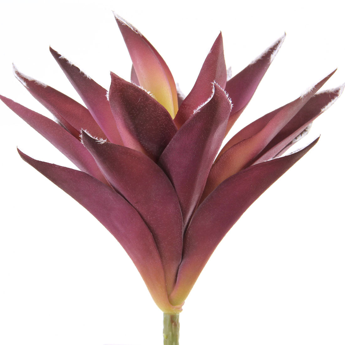 9.5" SUCCULENT STEM PURPLE