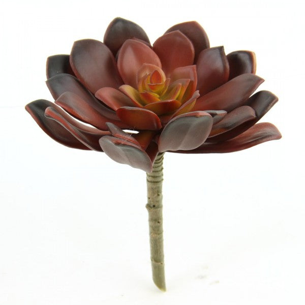 5.75" SUCCULENT STEM RED