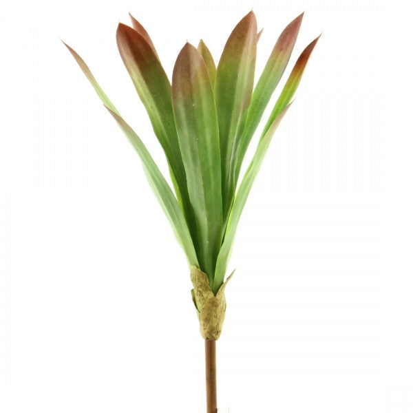 17"SUCCULENT GREEN/BURGUNDY