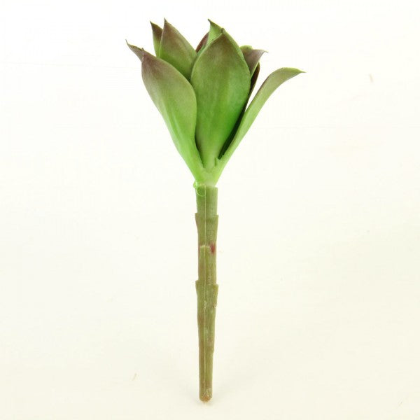 6.5"SUCCULENT STEM GRN/PURPLE