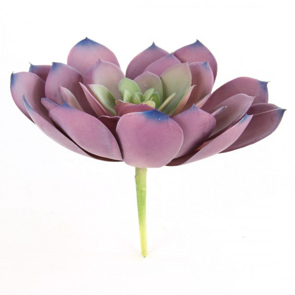 7"X9"D SUCCULENT SINGLE STEM
