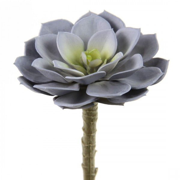 5"SUCCULENT STEM LILAC/GRN