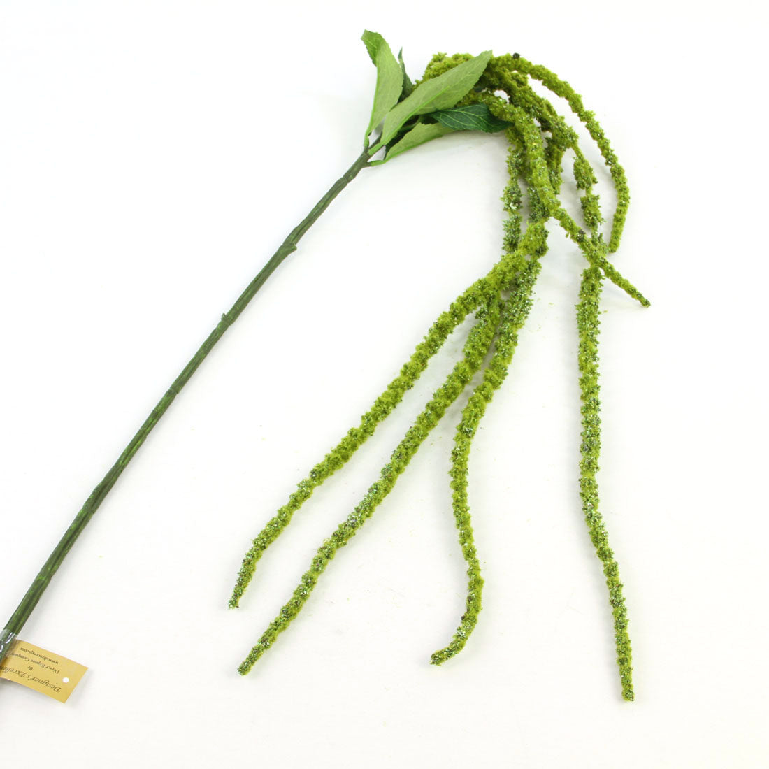 48"AMARANTHUS SPRAY X6 GREEN