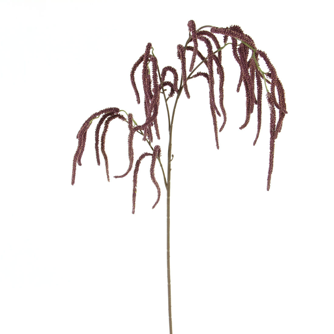 44"AMARANTHUS BRANCH PURPLE