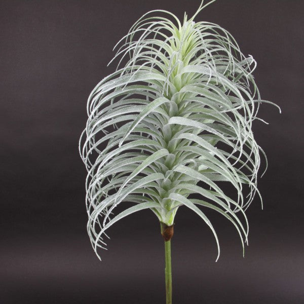 32"AIR PLANT