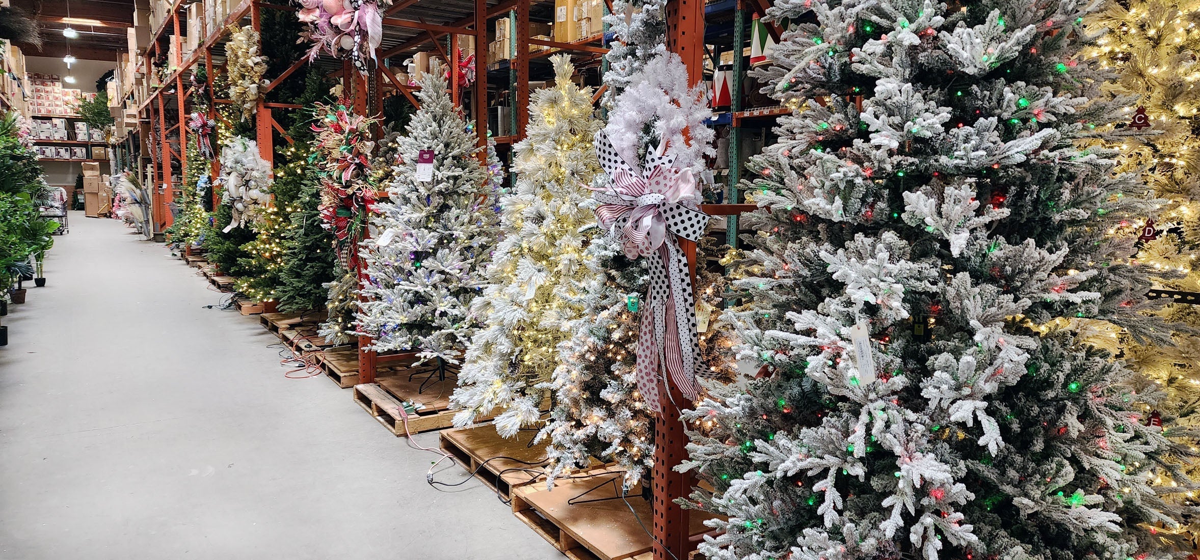 Shinoda's Christmas Tree Forest
