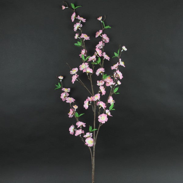 Peach Blossom