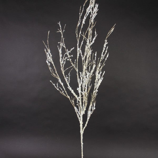 Branches