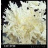 Dried Products