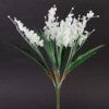 Lily of the Valley