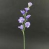 Sweet Peas