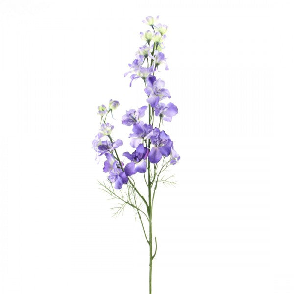 Delphinium