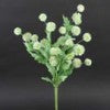 Globe Flowers