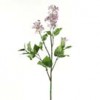 Lilacs