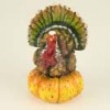 Indians, Pilgrims & Turkeys
