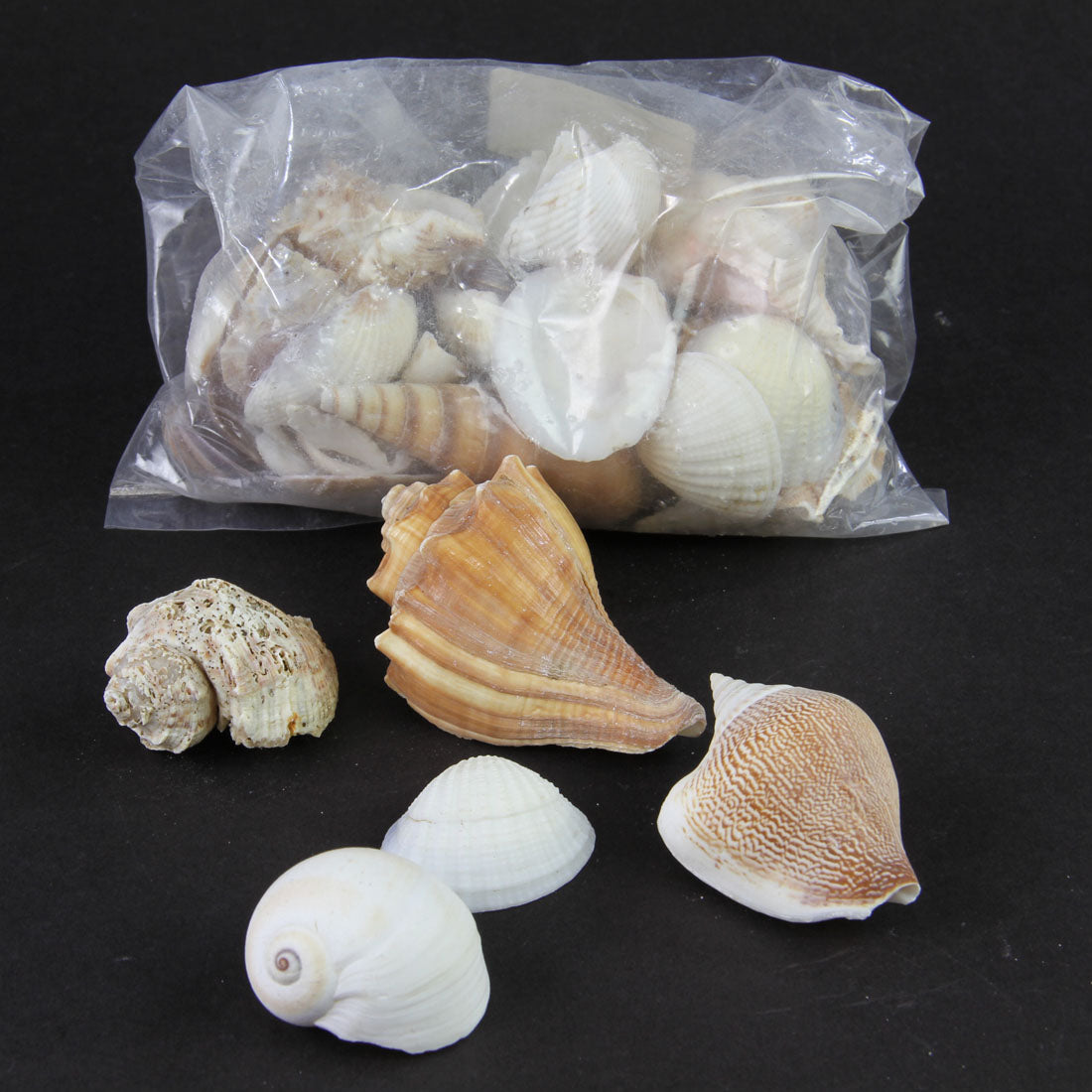 1 LB SHELL MIX LG