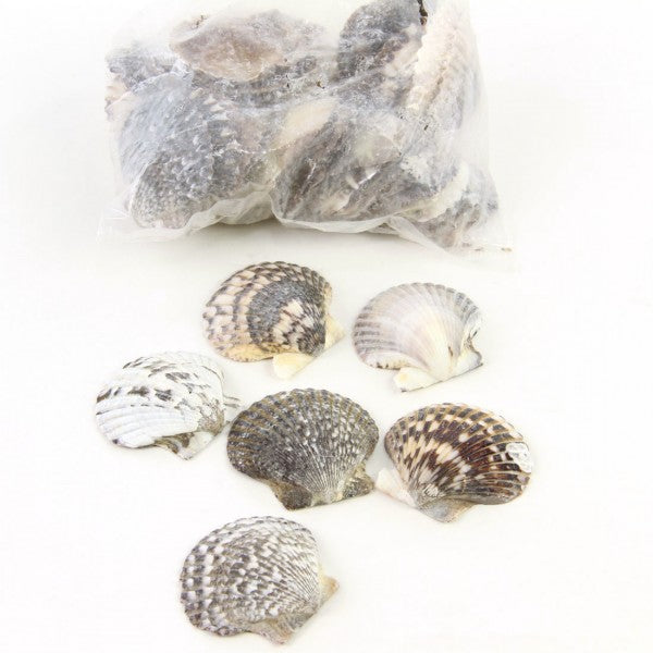 BLACK PECTIN 1LB/BG